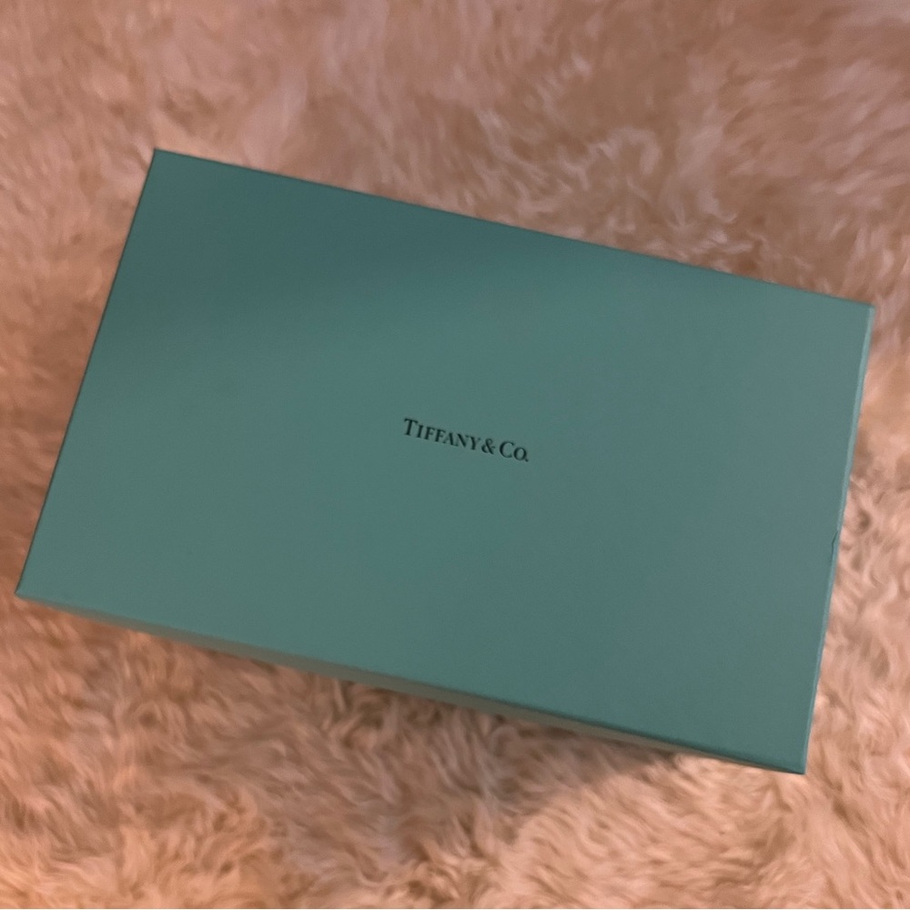 Tiffany & Co Gift Box